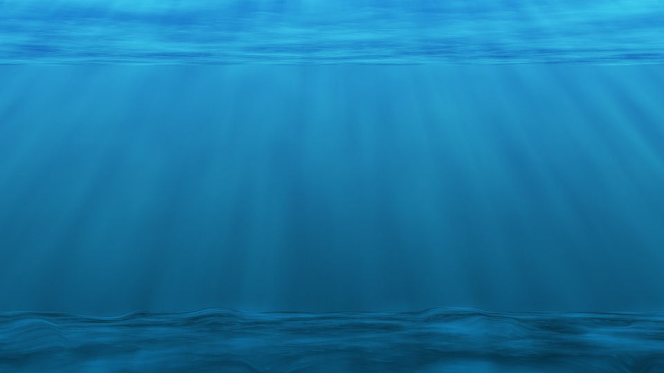 De voordelen van marine phytoplankton